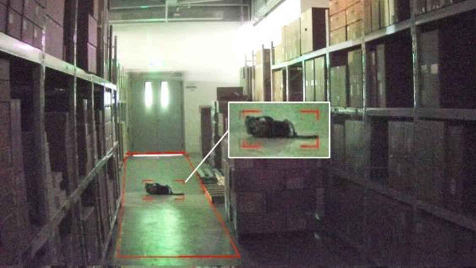 十三国际官网-追求康健,你我一起生长