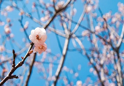 十三国际官网-追求康健,你我一起生长